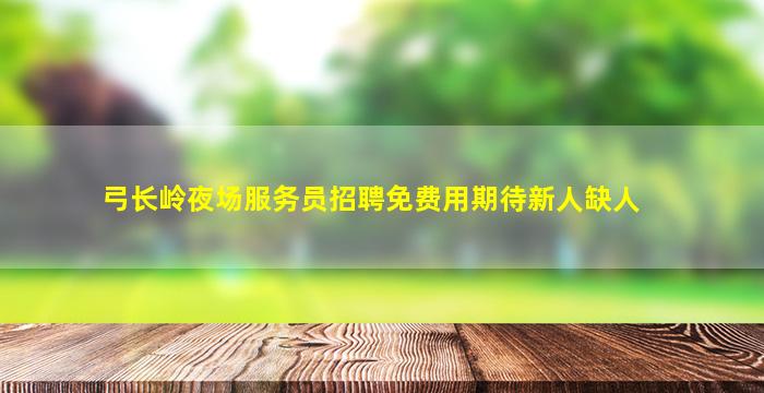 弓长岭夜场服务员招聘免费用期待新人缺人